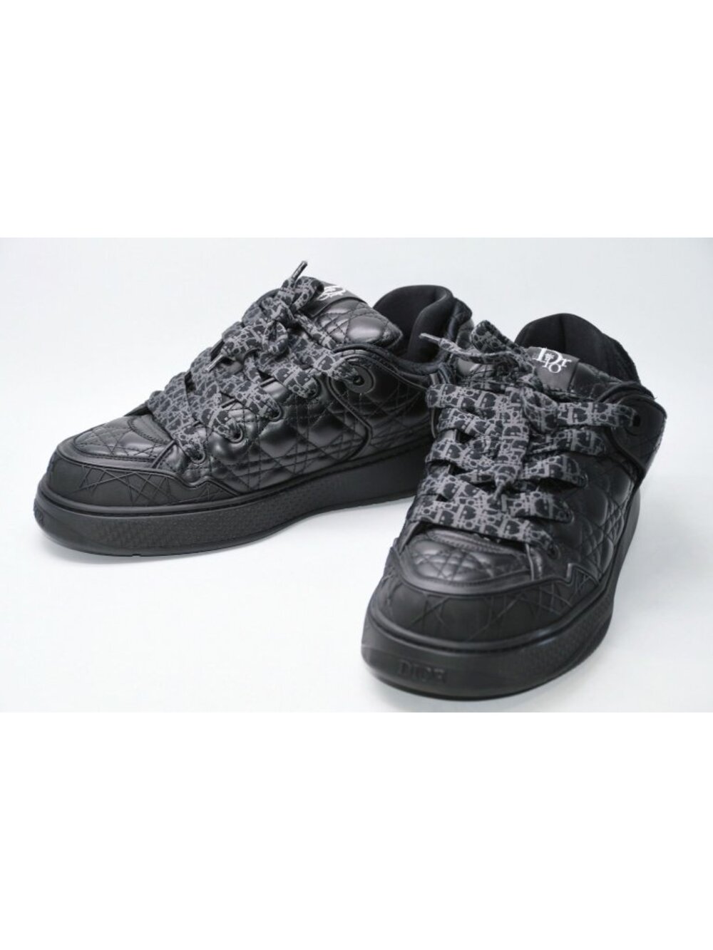 Dior Erl Skater Sneakers Cannage Calfskin